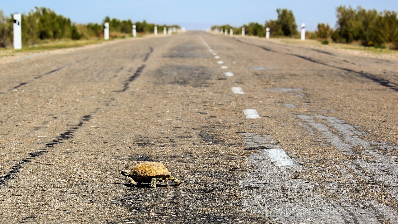 쉽고 재미있는 IT뉴스, 아웃스탠딩!