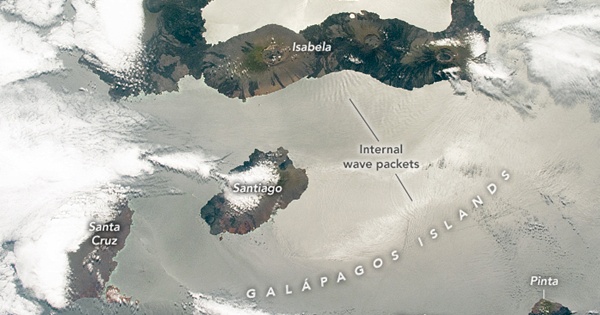 국내 기술 스타트업이 해외 진출을 못하는 진짜 이유 ‘Customization trap’