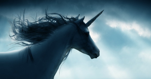 플랫폼의 시대는 끝나지 않았습니다.. 다만 룰이 바뀌었을 뿐입니다