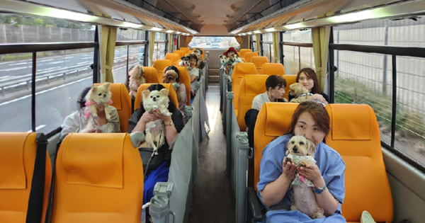 재방문율 50%.. 일본에서 ‘펫 투어리즘’이 뜨고 있습니다
