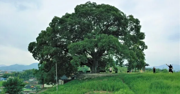 열심히 일한 아버지는 왜 가난했을까요?