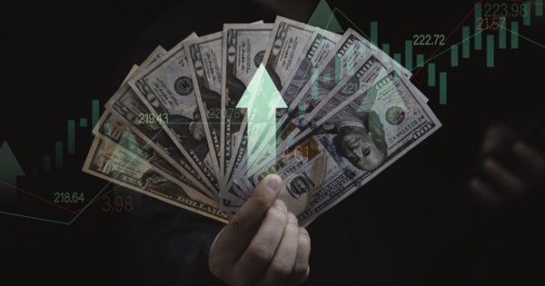 환율 상승, 서학개미 때문일까?