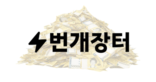 몸값 7500억원이라는 번개장터.. 얼마에 팔릴까?